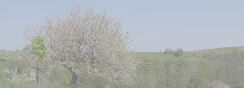 vci GmbH